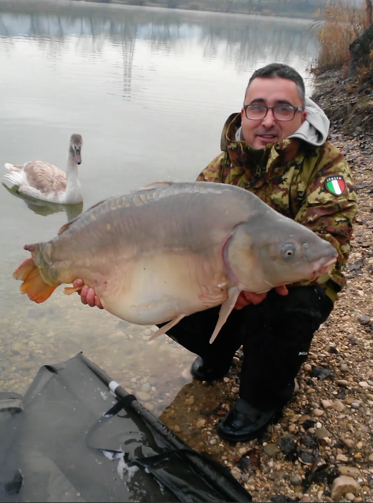 regiune Rhône-Alpes 25 noiembrie 2015 - 2015-11-25-091257.png